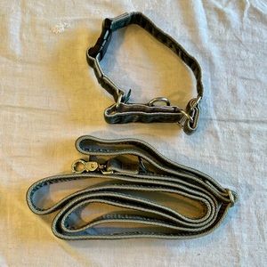 2 Hounds design leash and collar dusty grey Swiss velvet for medium to large dog